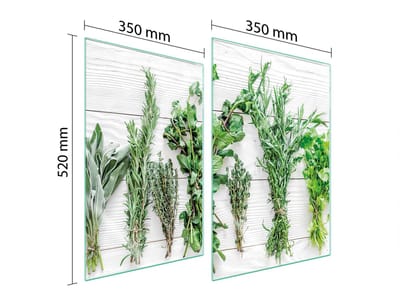 TMK ArtDeko - Glasbeschermplaat voor Fornuis - 2x35x52 cm - Specerijen