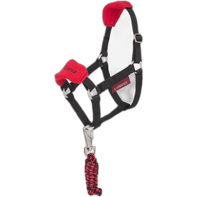 Halsband en longe voor Hobby Horse LeMieux Vogue