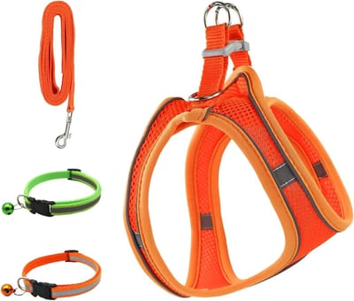 Set van 4 Kleine Hondenharnassen en Leashes met Reflecterende Bandjes en Ademend Mesh, Zomer Hondenharnassen met 2 Puppy Halsbanden voor Kleine Honden en Katten (Oranje, S)