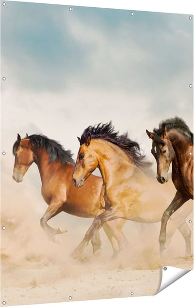 Gards Tuinposter Drie Bruine Paarden - 120x160 cm - Tuindoek - Tuindecoratie - Wanddecoratie buiten - Tuinschilderij