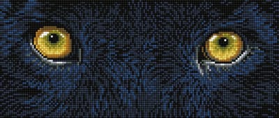 Diamond Painting Volwassenen - Ronde Steentjes - Volledig Pakket - Hobby - Diamond Dotz® - DD5.078 - Dieren - Zwarte panter ogen 42 x 18cm
