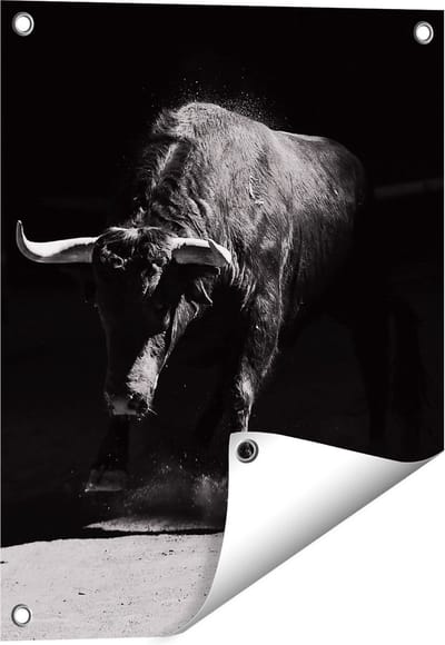 Gards Tuinposter Stier in de Arena - Zwart Wit - 40x50 cm - Tuindoek - Tuindecoratie - Wanddecoratie buiten - Tuinschilderij