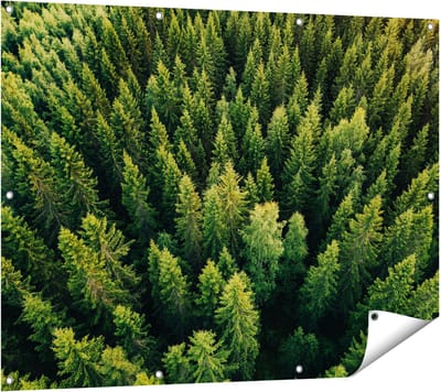 Gards Tuinposter Bos met Bomen vanaf Boven - 120x90 cm - Tuindoek - Tuindecoratie - Wanddecoratie buiten - Tuinschilderij