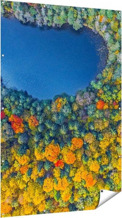 Gards Tuinposter Kleurrijke Bos met Bomen naast een Meer - 120x180 cm - Tuindoek - Tuindecoratie - Wanddecoratie buiten - Tuinschilderij