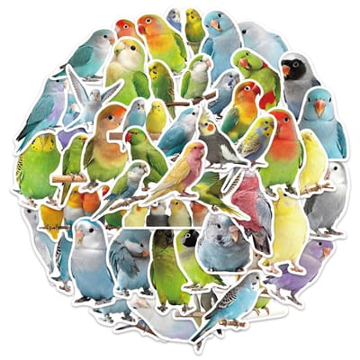 50PCS Autocollants Décoratifs Perroquets Mignons DIY Coques de Téléphone, Ordinateurs Portables, Bouteilles d'Eau, Ordinateurs, Autocollants Skateboard
