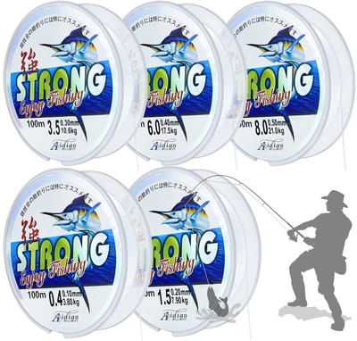 Dailygoody - Nylon Koord - Sterk Visdraad - 100 m - Monofilament - Diameter 0,1 mm tot 0,5 mm - Voor DIY Armbanden - Geschikt voor Predatory Vissen