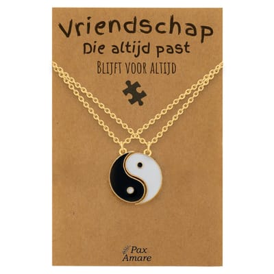 BFF Ketting voor 2 'Vriendschap die altijd past' - Magnetische Yin Yang - Vriendschapsketting op Cadeau Kaartje - 45cm + 5cm verstelbaar - Goudkleurig - Best Friends Hanger - Pax Amare