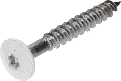 Gevelplaatschroef RK torx 4,8x38 per 30 r.v.s. wit