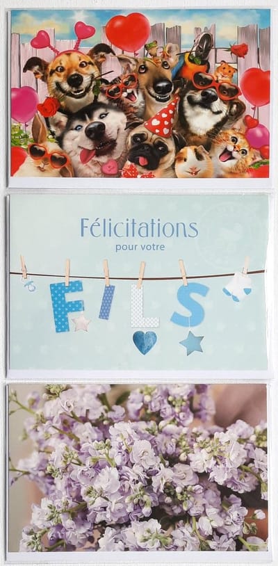 3 Wenskaarten - Een Jongen - Félicitations pour votre FILS + 2 x Blanco Kaart Bloemen en Dieren – 12 x 17 cm – GEB-312