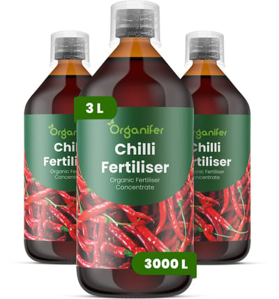 Vloeibare Meststof Voor Chili 3X1 L Voor 3000 L - Npk 2-1-8 - Krachtige Groei - Sterke Vruchtzetting - Hoge Opbrengst - Wortelontwikkeling - Smaakrijke Peulen - Kleurintensiteit - Hittebestendig - Peulstevigheid - Continue Bloei - Organifer