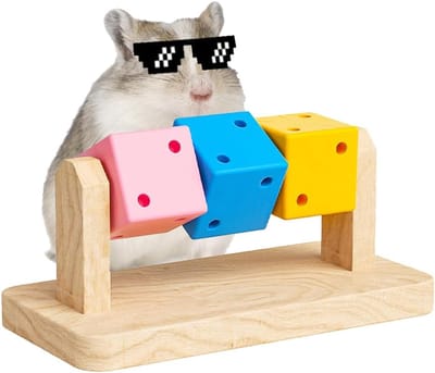 Daity Hamsterspeelgoed - 1 stuk houten kauwspeeltje voor cavia's - kleurrijke houten blokkenactiviteit - geschikt voor cavia's - chinchilla's - hamsters - kleine dieren - gerbils - ratten die tandjes krijgen