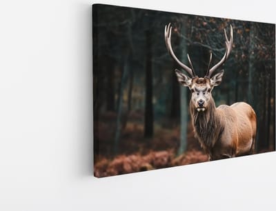 Saammp Canvas Schilderij - Natuur - Hert - Landschap - 45x30 - Foto op canvas - Wanddecoratie - Muurdecoratie Woonkamer - Slaapkamer decoratie - Canvas Print