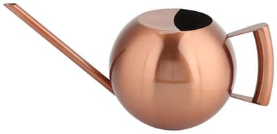 Dailygoods- Gieter 1L Grote Capaciteit - Lange Uitloop - Roestvrij Staal - Ergonomische Handgreep - Geschikt voor Tuinplanten - Voorkomt Spatwater - Plantenbewateringskan