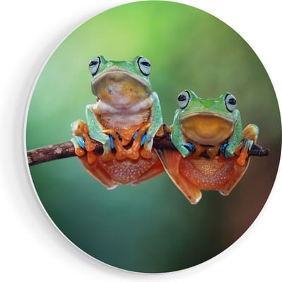 Artaza Forex Muurcirkel Twee Boomkikkers op een Tak - 60x60 cm - Wandbord - Wandcirkel - Rond Schilderij - Wanddecoratie Cirkel