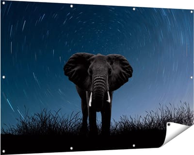 Gards Tuinposter Olifant Omringd met Sterren - 150x100 cm - Tuindoek - Tuindecoratie - Wanddecoratie buiten - Tuinschilderij