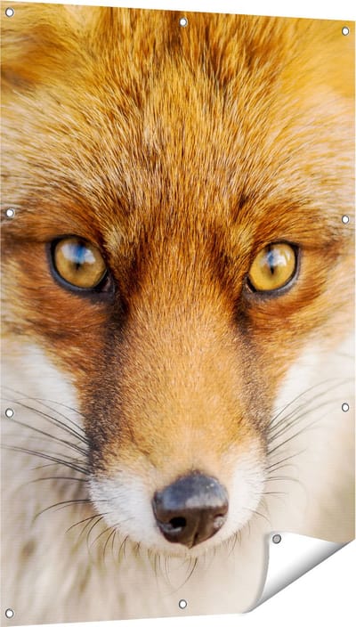 Gards Tuinposter Vossenkop met Bruine Ogen - Vos - 80x120 cm - Tuindoek - Tuindecoratie - Wanddecoratie buiten - Tuinschilderij
