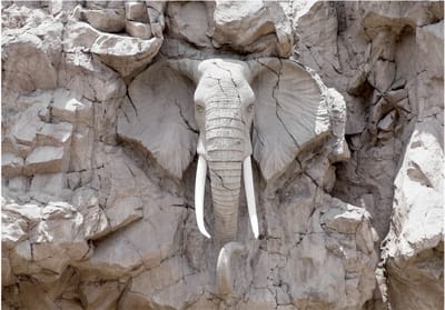 Fotobehangkoning - Behang - Vliesbehang - Fotobehang Olifant in de Rotsen - The Bridge of Time (South Africa) - 150 x 105 cm