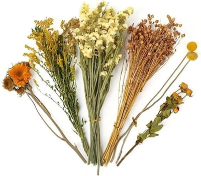 Bloem Hamster Strooisel Muizen Habitat Behuizing Decoratie Kleine Dieren Bloemen Habitat Decoratie Natuurlijke Graanaar Bloem Hamster Sprays Voor Gerbils (#1, One Size)