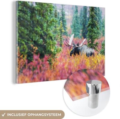 ® Glasschilderij 180x120 cm - Schilderij acrylglas - Een eland in het herfstige landschap van het Nationaal landschap Denali - Foto op glas - Muurdecoratie woonkamer - Wanddecoratie slaapkamer - Schilderijen