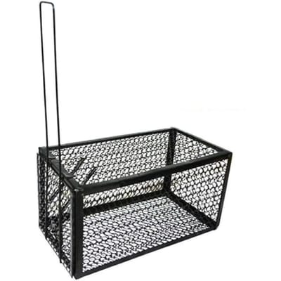 Muizenval van roestvrij staal, rattenknaagdier, muizenvangkooi met automatische vergrendeling voor thuiskantoor, 28x15x15cm gray