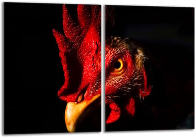 TMK ArtDeko - Beschermer voor Kookplaat - 40x52cm - Kogut