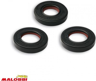 Malossi motor spinnaker pakking voor Aprilia 50 RS4 2012 tot 2017 6615753 Gloednieuw
