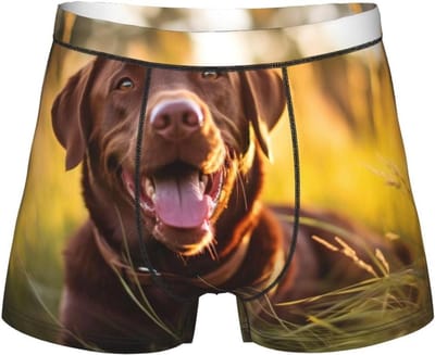 Heren Boxershorts - Ondergoed Slips - Dagelijks Comfort - 3D Ruimteontwerp - S tot 4XL - Bruin Print