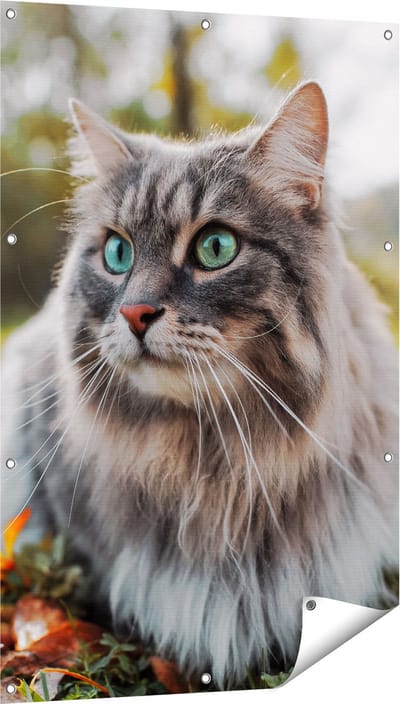 Gards Tuinposter Kat met Groene Ogen op het Gras - 80x120 cm - Tuindoek - Tuindecoratie - Wanddecoratie buiten - Tuinschilderij