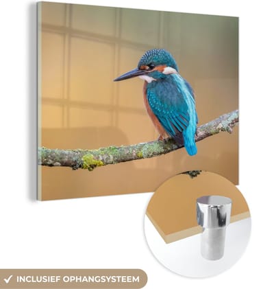 MuchoWow® Glasschilderij 40x30 cm - Schilderij acrylglas - Vogel - IJsvogel - Dieren - Tak - Foto op glas - Schilderijen