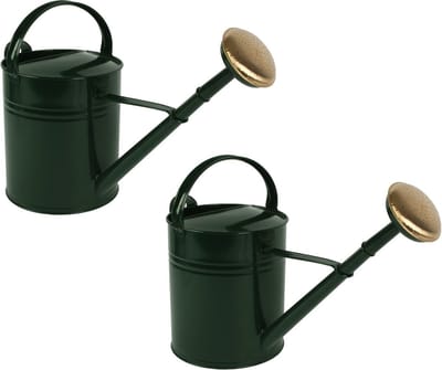 Talen Tools Gieter - 2x stuks - groen - goudkleurige broeskop - metaal - 10 l - 36.5 x 53.2 x 23.2 cm
