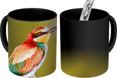 Magische Mok - Foto op Warmte Mokken - Koffiemok - Vogels - Bijeneter - Regenboog - Dieren - Magic Mok - Beker - 350 ML - Theemok