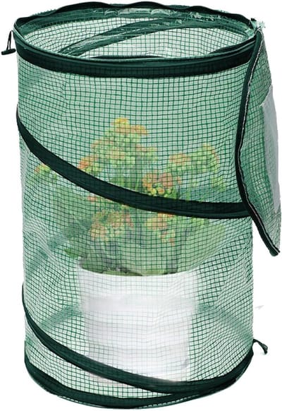Kleine Buitenkas - Mini Kas Planten - Planten Beschermen - Zonder Montage - 50 x 68 cm - Groen