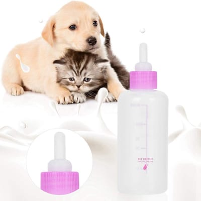 Dailygoods- Voedingsfles 60ml - 6-delige Set - Spuit/Fopspeen - Reserve Tepel - Geschikt voor Kittens/Puppy's - Complete Verzorging - Flesje
