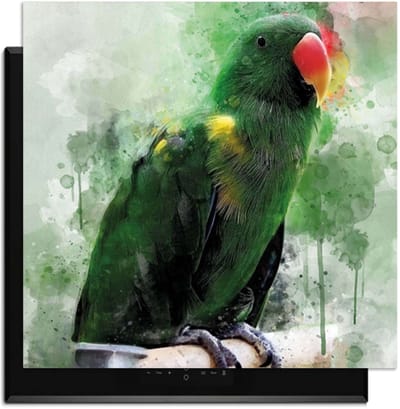 KitchenArt - Jungle Parrot - Inductie Beschermer - 59x52 cm - Kookplaat Beschermer - Luxe Afdekplaat Inductieplaat - Anti-slip & Oprolbaar - Beschermmat Inductiekookplaat