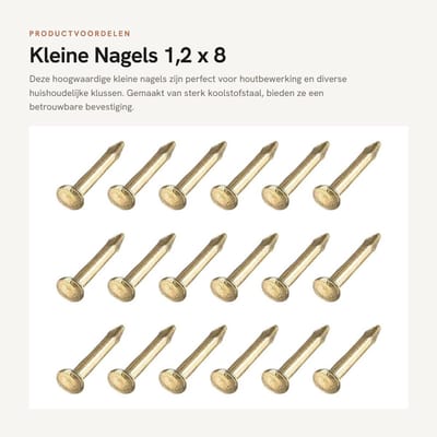 Dailygoods - Kleine Nagels 1,2 x 8 mm, 500 Stuks voor Houtbewerking