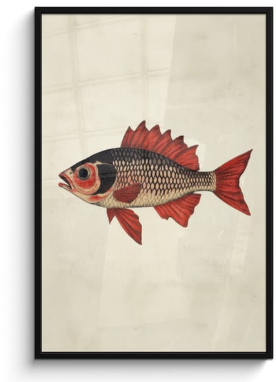 Poster in lijst - Fotolijst 80x120 cm - Posters - Schubben - Rood - Vis - Vinnen - Posterlijst zwart - Decoratie - Wanddecoratie woonkamer - Muurdecoratie slaapkamer