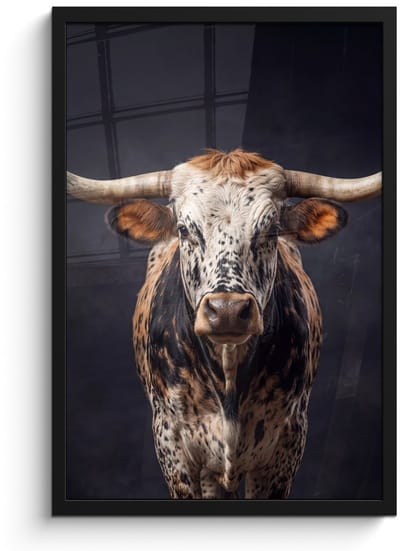 Poster in lijst - Fotolijst 40x60 cm - Posters - Stier - Kleurrijk - Hoorns - Posterlijst zwart - Decoratie - Wanddecoratie woonkamer - Muurdecoratie slaapkamer