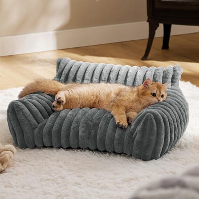 Kattenbank Bed Schattig Huisdierenbed voor Kleine Middelgrote en Grote Katten en Honden Pluizig Bankbed voor Huisdieren Binnen met Antislip M donkergrijze kleur