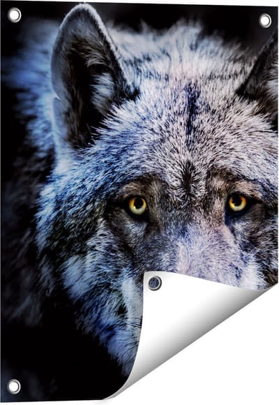 Gards Tuinposter Grijze Wolvenkop - Wolf - 40x50 cm - Tuindoek - Tuindecoratie - Wanddecoratie buiten - Tuinschilderij
