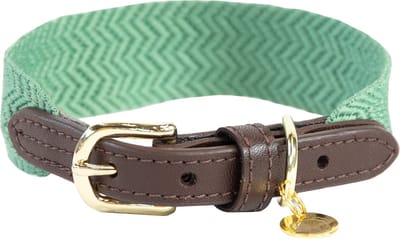 Kentucky Dogwear - Jacquard Hondenhalsband - Olijfgroen - Maat XS - 37cm - Hondenriem