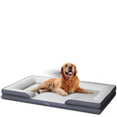 CozySense® Orthopedische Hondenmand 100 x 70 cm - Maat XL - Waterdicht Hondenbed met Wasbare Hoes - Geschikt Als Benchkussen - Wit