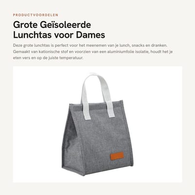 Dailygoods- Lunchtas Grote Capaciteit - Geïsoleerde Container - Kationische Stof - Waterdicht - Draagbaar Voedselpakket - Afmetingen 22x13,5x24 cm - Lunchbox