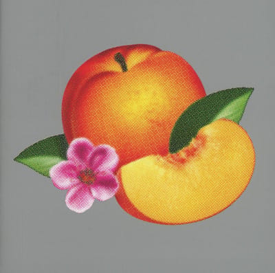Bankrupt! - Phoenix
