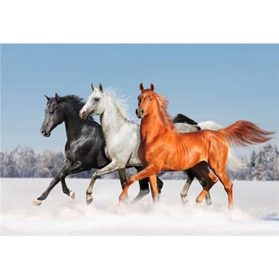 5D Doe-het-zelf Diamantschilderij Kits Diamant Strass Steken Diamant Geborduurd Dier Paard Rennen Sneeuw Handwerk 20X30CM