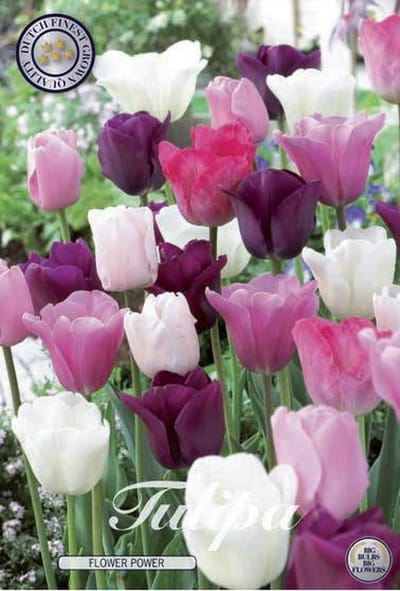Flower Power Garden Tulpenbollen 10 stuks bolmaat 12+