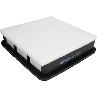 Luchtfilter FILTRON AP120/2