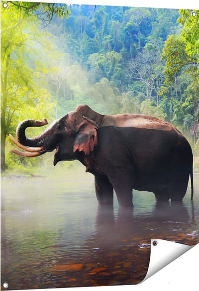 Gards Tuinposter Olifant in het Water - 80x100 cm - Tuindoek - Tuindecoratie - Wanddecoratie buiten - Tuinschilderij