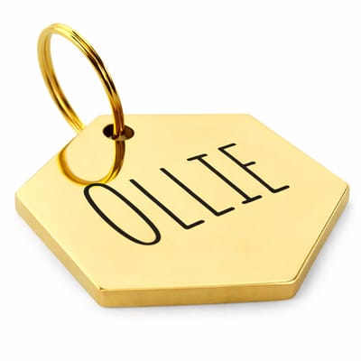 By Ollies dierenpenning Hexagon goud - maat M 24x20 mm - RVS - wandelen - hondenpenning
