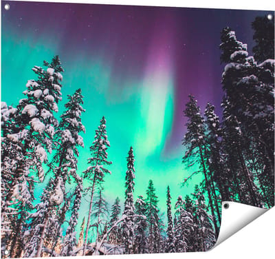 Gards Tuinposter Noorderlicht in de Bossen van Noorwegen - 100x80 cm - Tuindoek - Tuindecoratie - Wanddecoratie buiten - Tuinschilderij