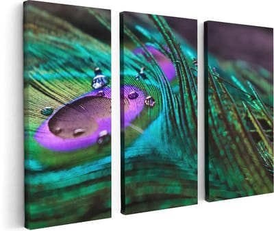 Artaza Canvas Schilderij Drieluik Kleurrijke Pauw Veer Met Waterdruppels  - 120x80 - Foto Op Canvas - Canvas Print